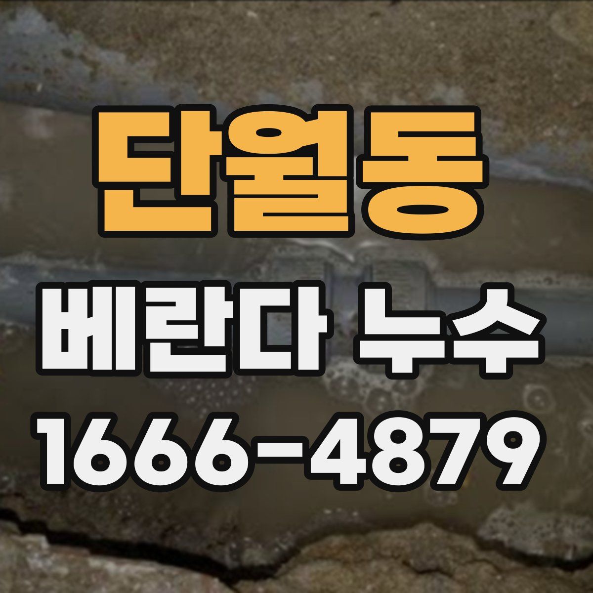 단월동 베란다 누수