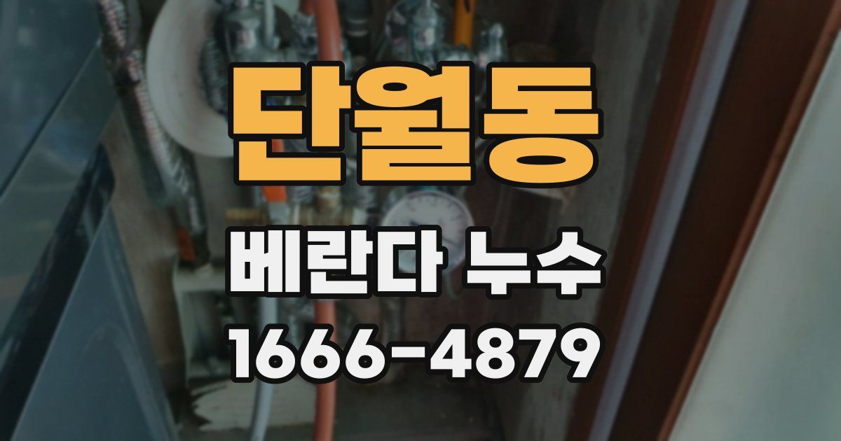 단월동 베란다 누수