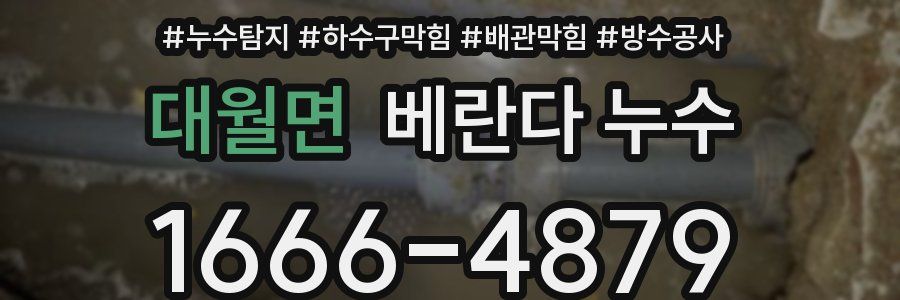 대월면 베란다 누수
