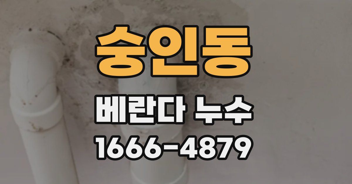 숭인동 베란다 누수