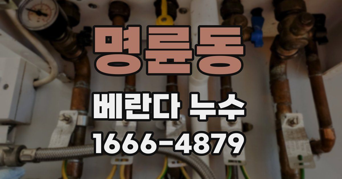 명륜동 베란다 누수