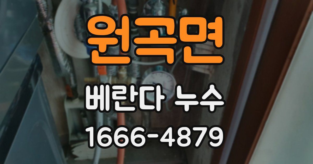 원곡면 베란다 누수