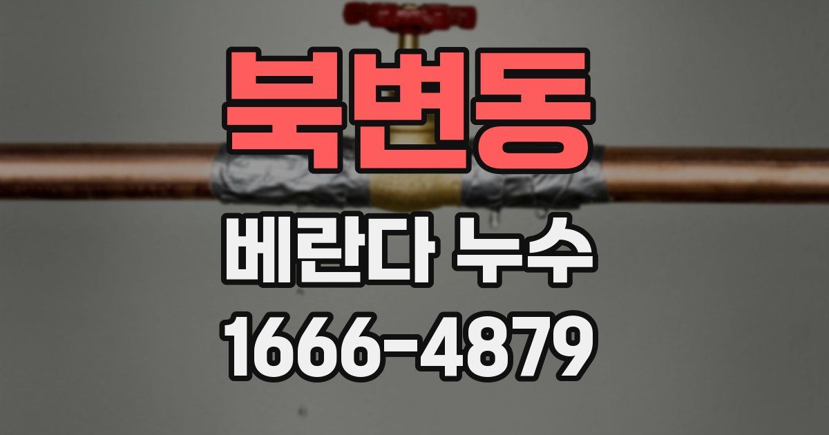 북변동 베란다 누수