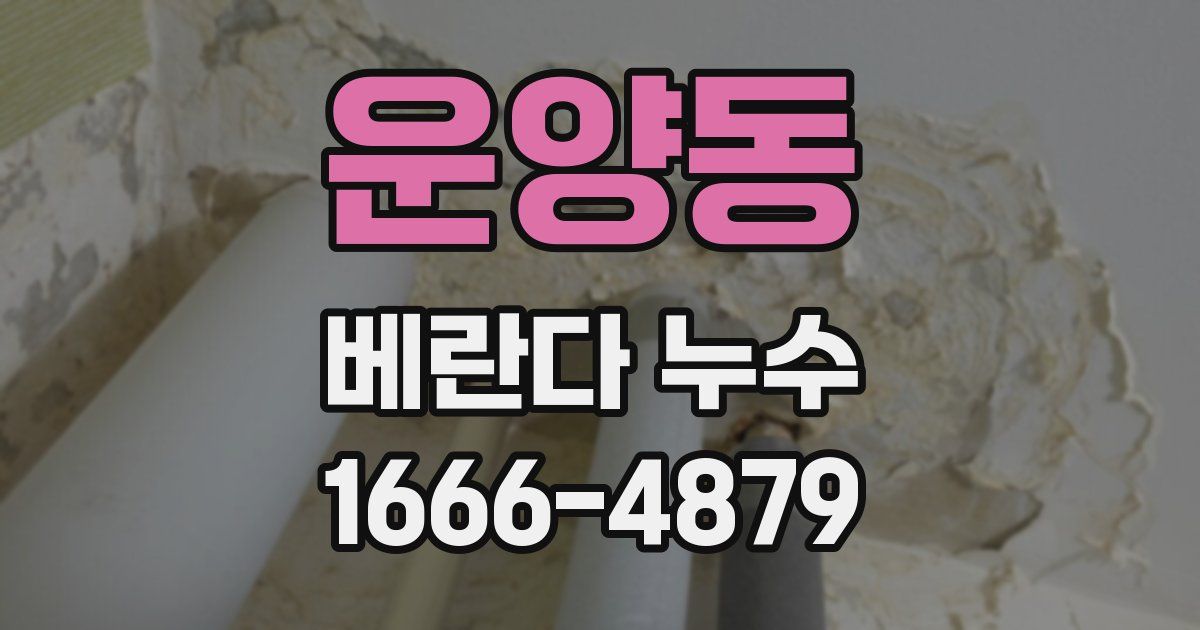 운양동 베란다 누수