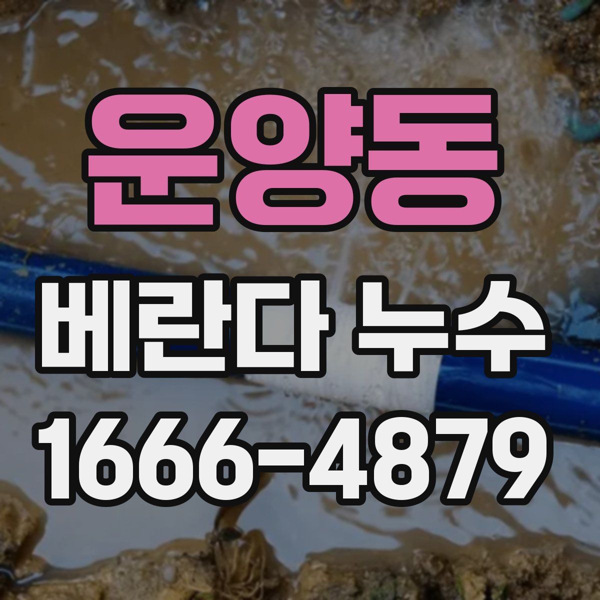 운양동 베란다 누수