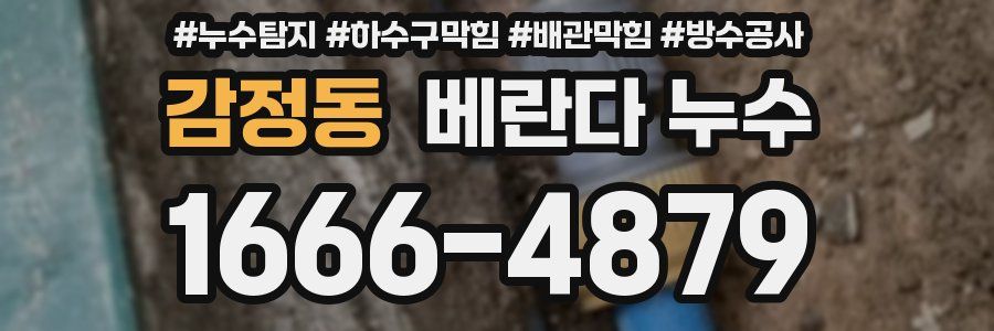 감정동 베란다 누수