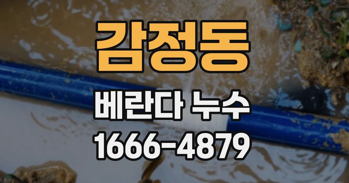 감정동 베란다 누수