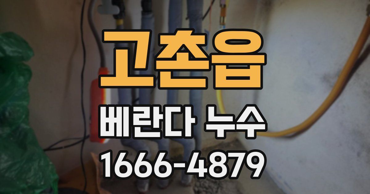 고촌읍 베란다 누수
