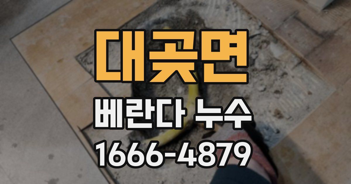 대곶면 베란다 누수