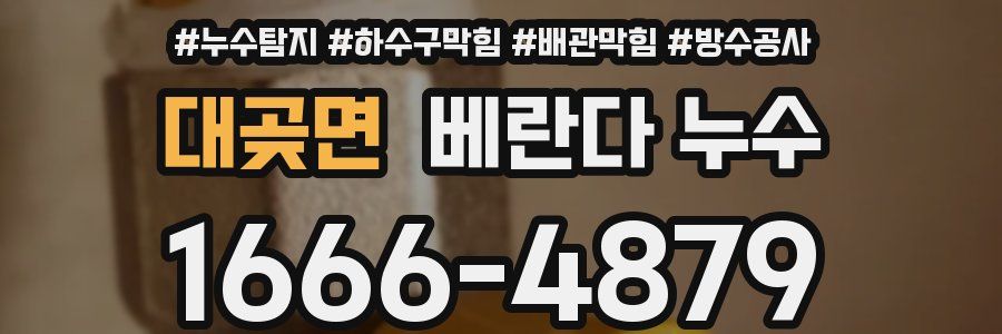 대곶면 베란다 누수