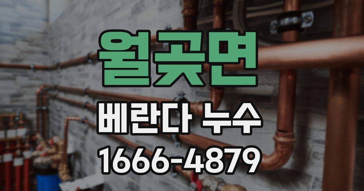 월곶면 베란다 누수