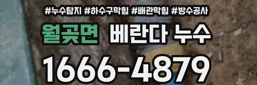 월곶면 베란다 누수