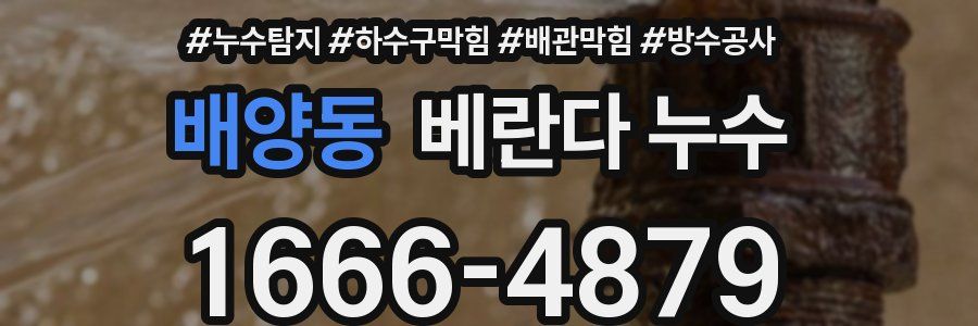 배양동 베란다 누수