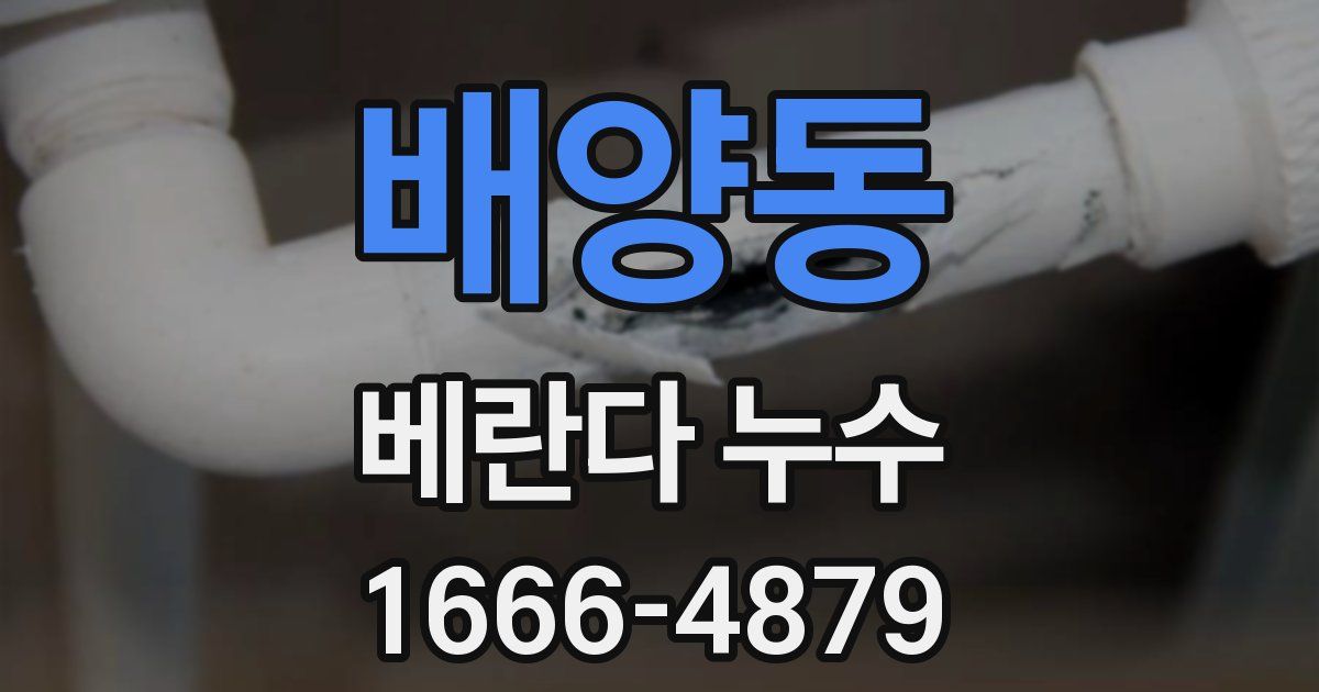 배양동 베란다 누수