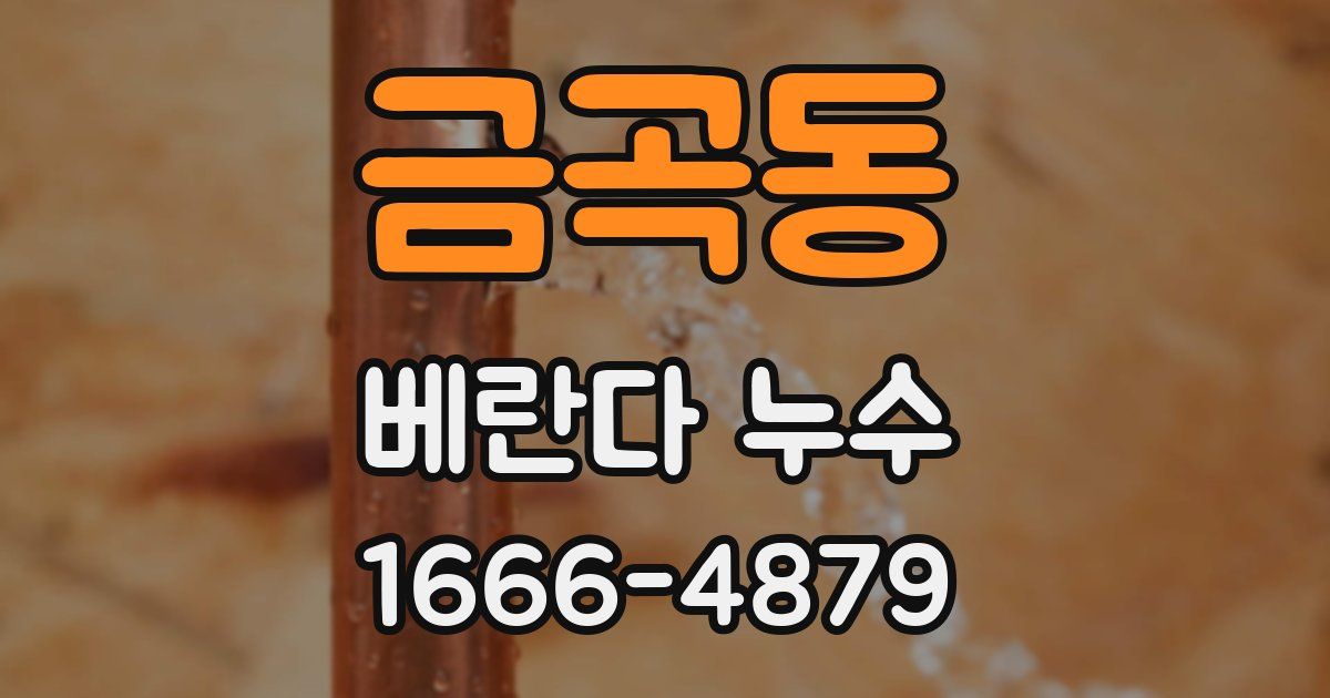 금곡동 베란다 누수