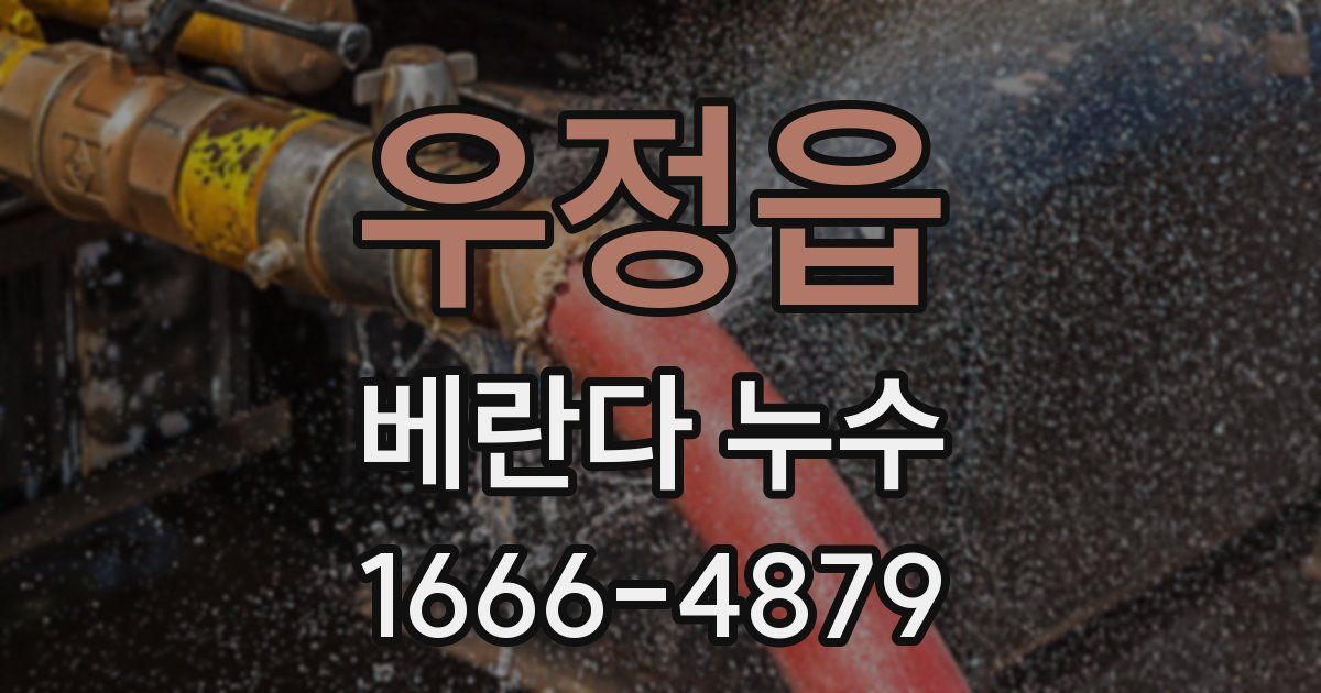 우정읍 베란다 누수