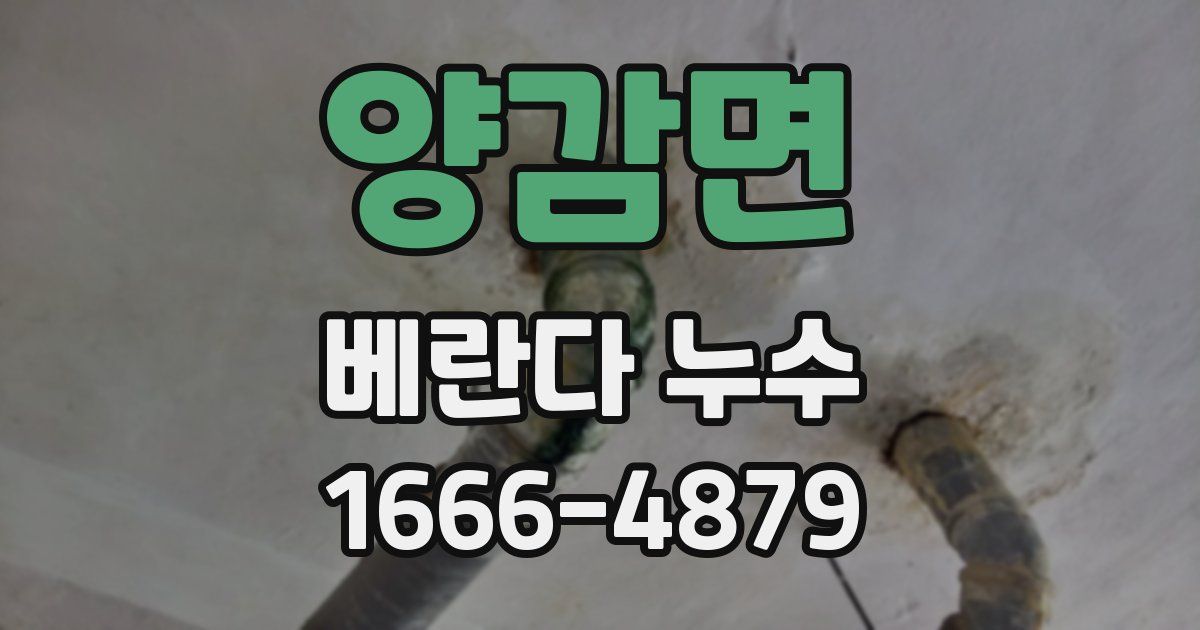 양감면 베란다 누수
