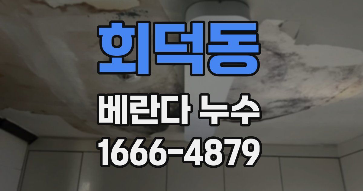 회덕동 베란다 누수