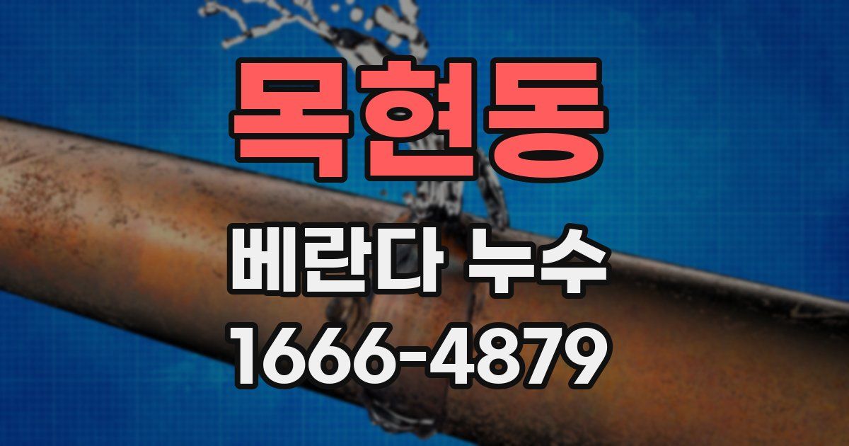 목현동 베란다 누수