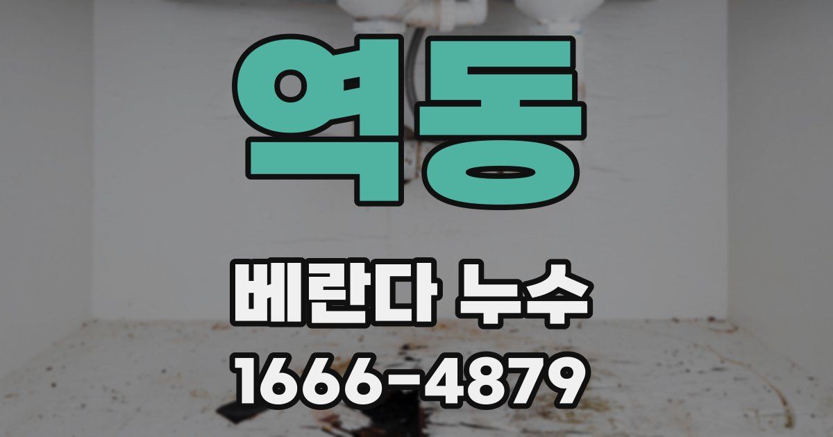 역동 베란다 누수