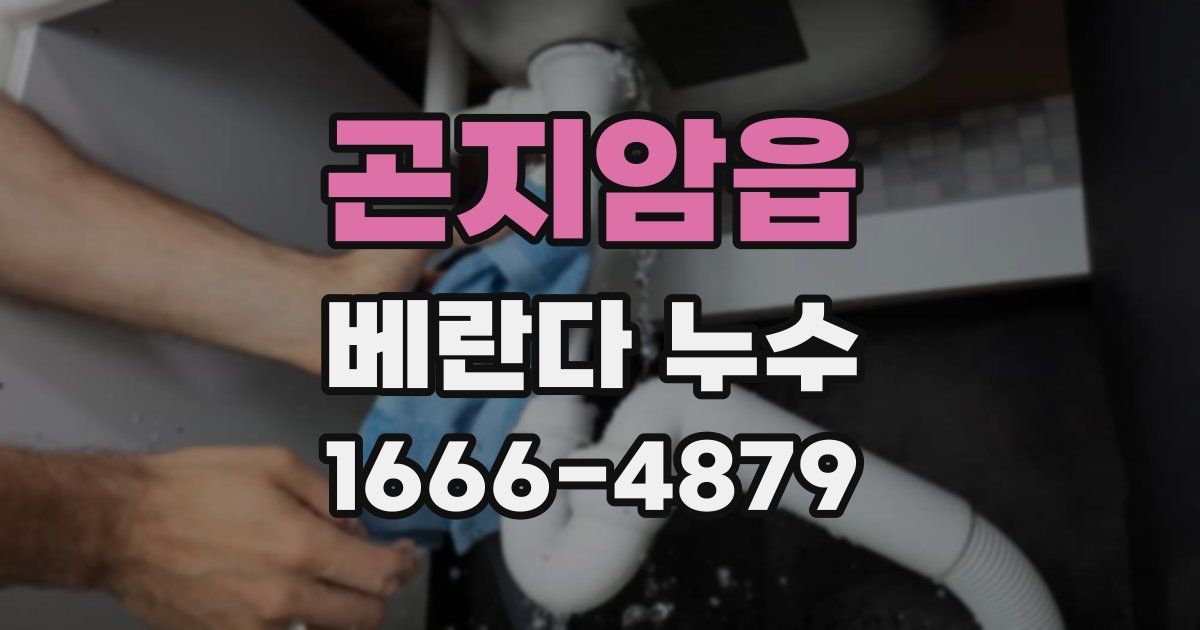 곤지암읍 베란다 누수