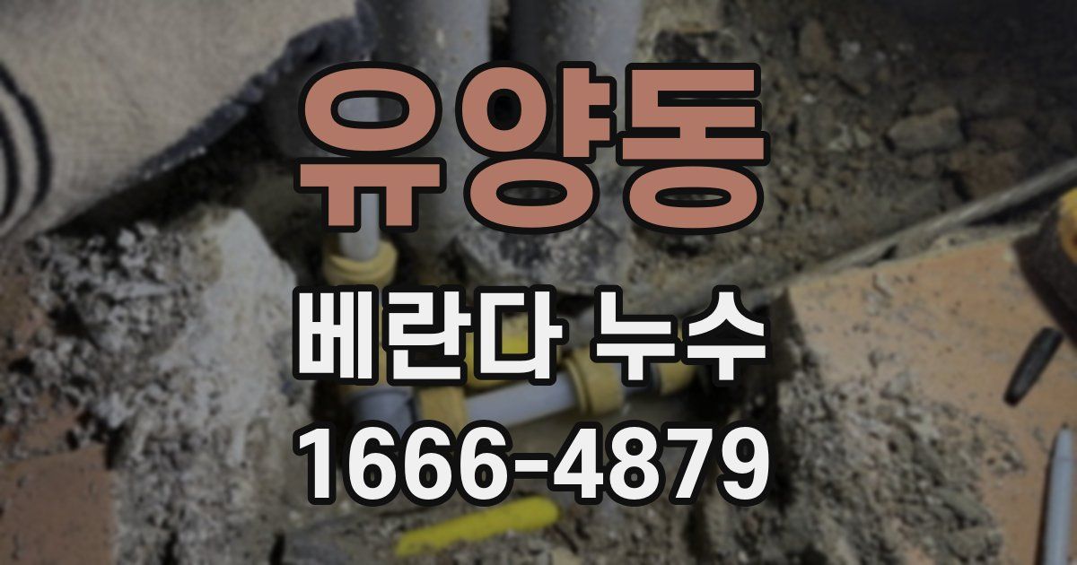 유양동 베란다 누수