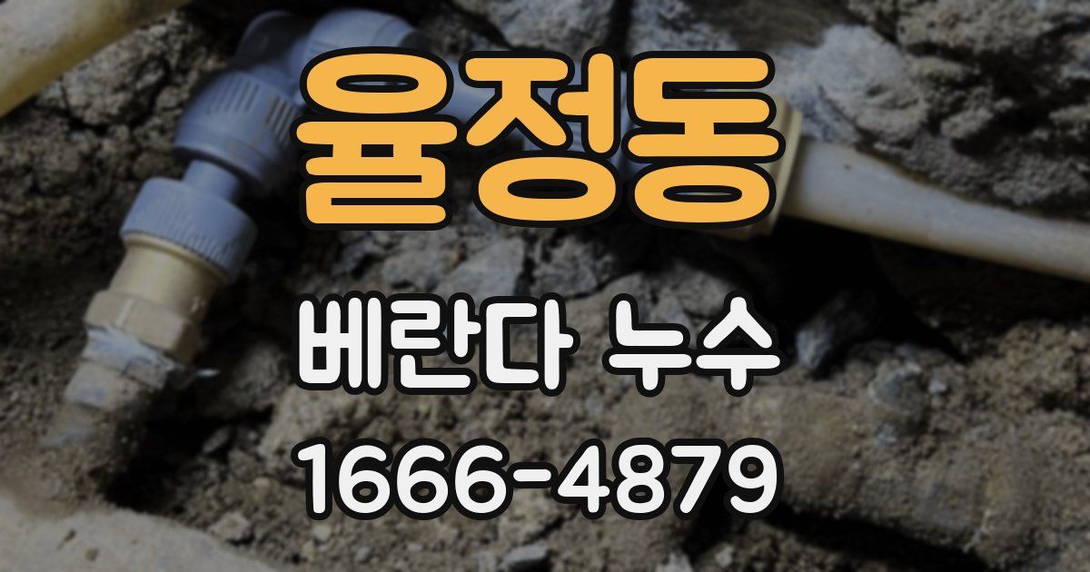 율정동 베란다 누수