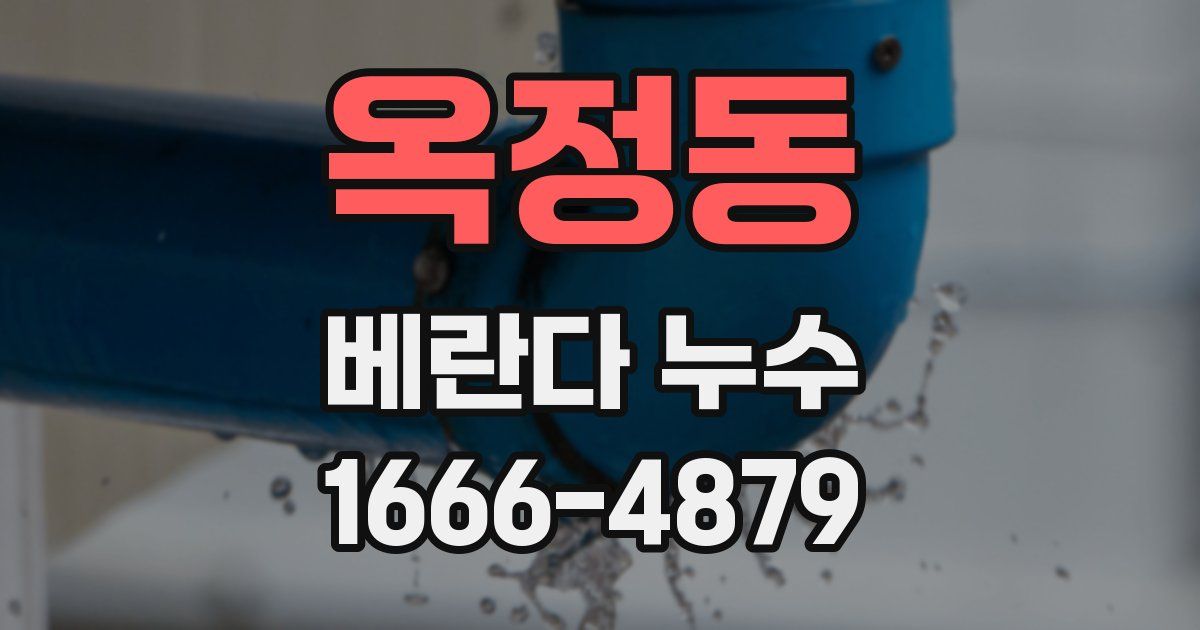 옥정동 베란다 누수