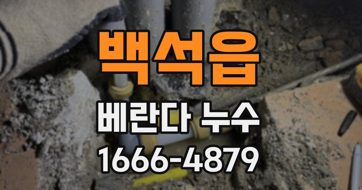 백석읍 베란다 누수