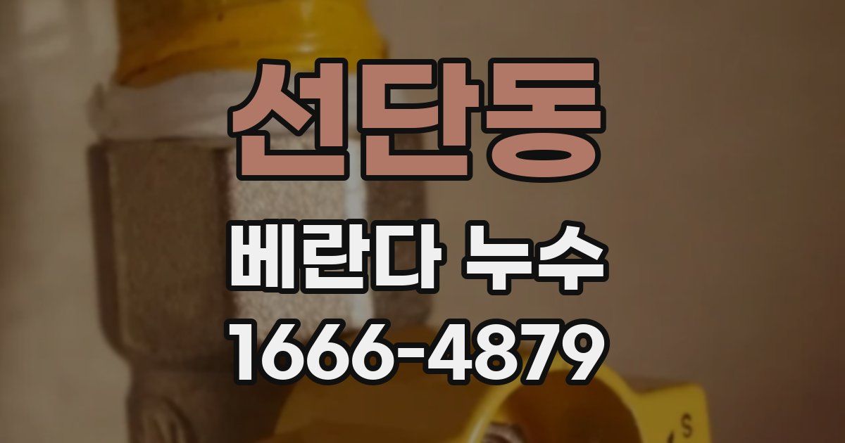 선단동 베란다 누수