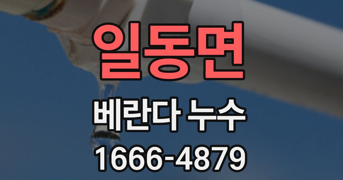 일동면 베란다 누수