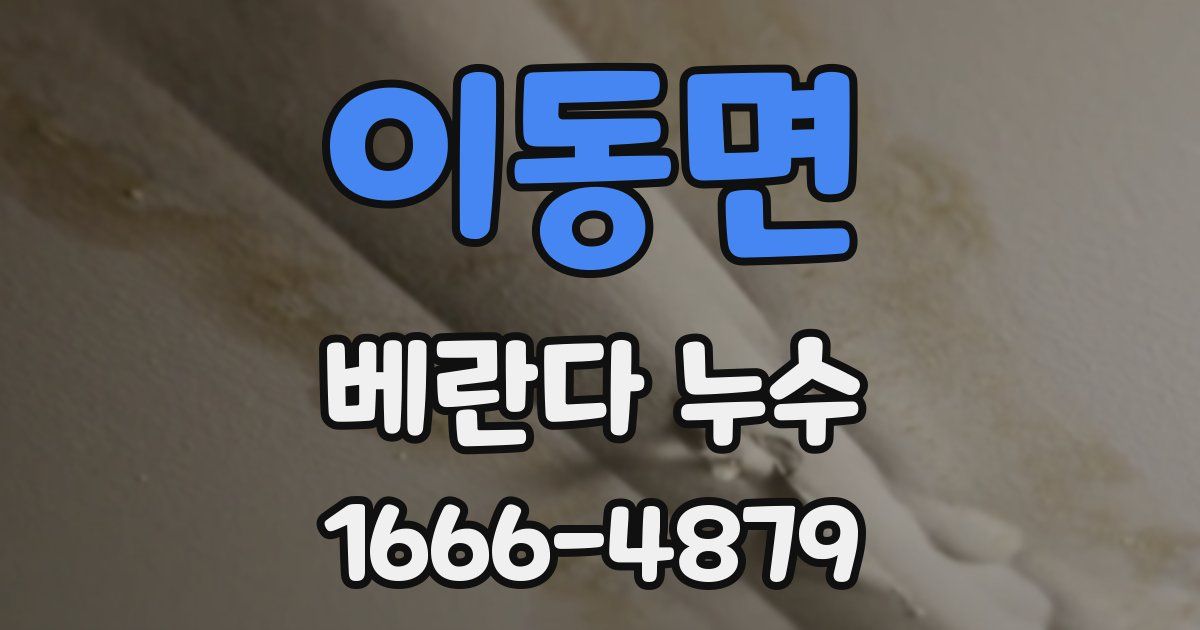 이동면 베란다 누수