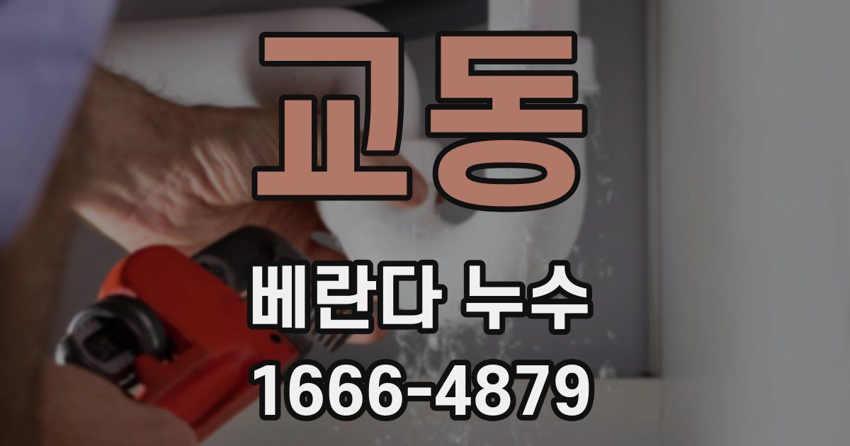 교동 베란다 누수