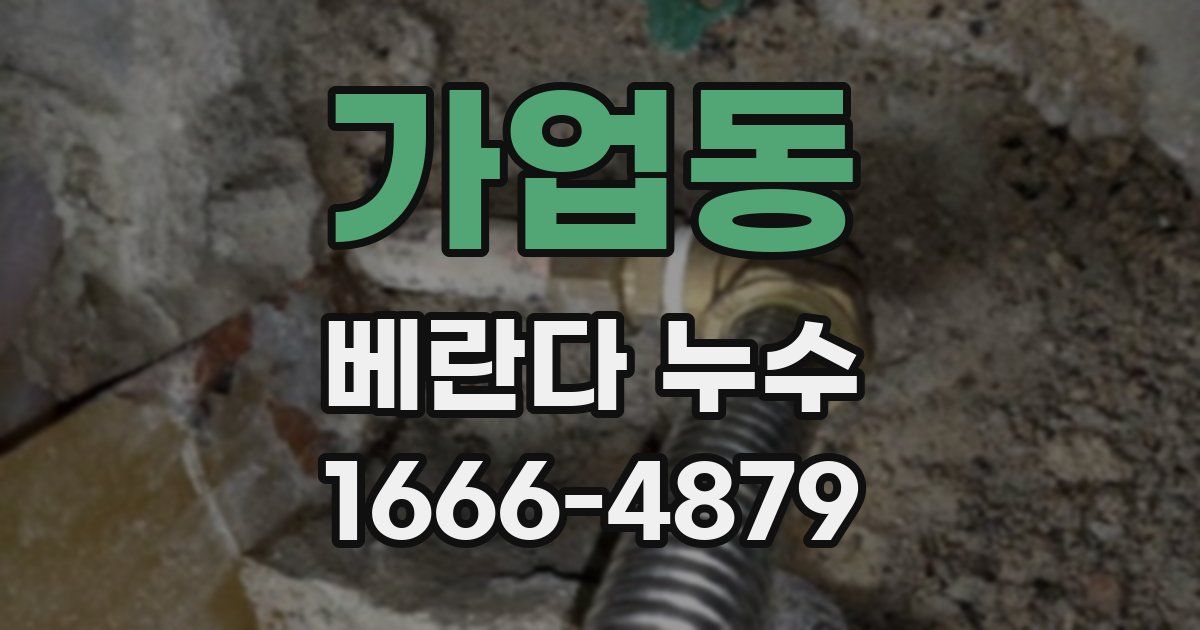 가업동 베란다 누수
