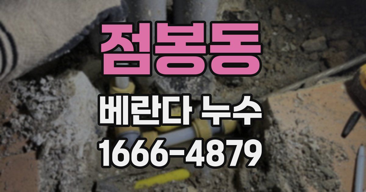 점봉동 베란다 누수
