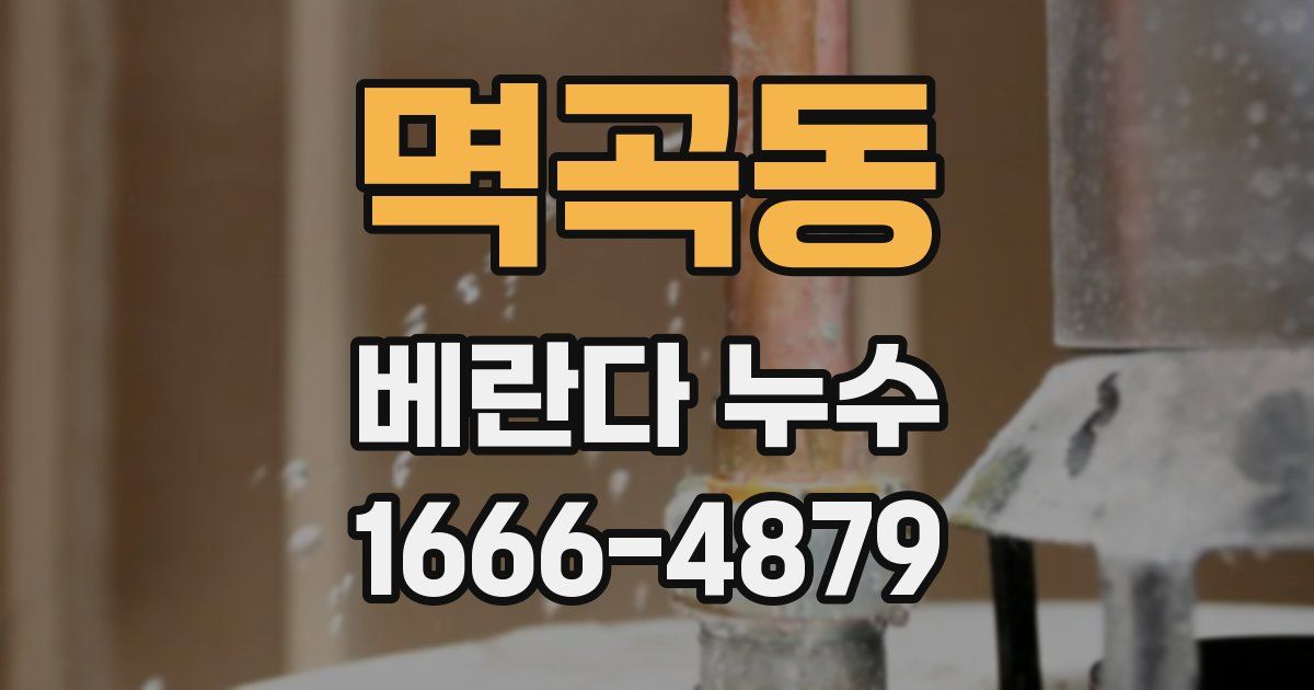 멱곡동 베란다 누수