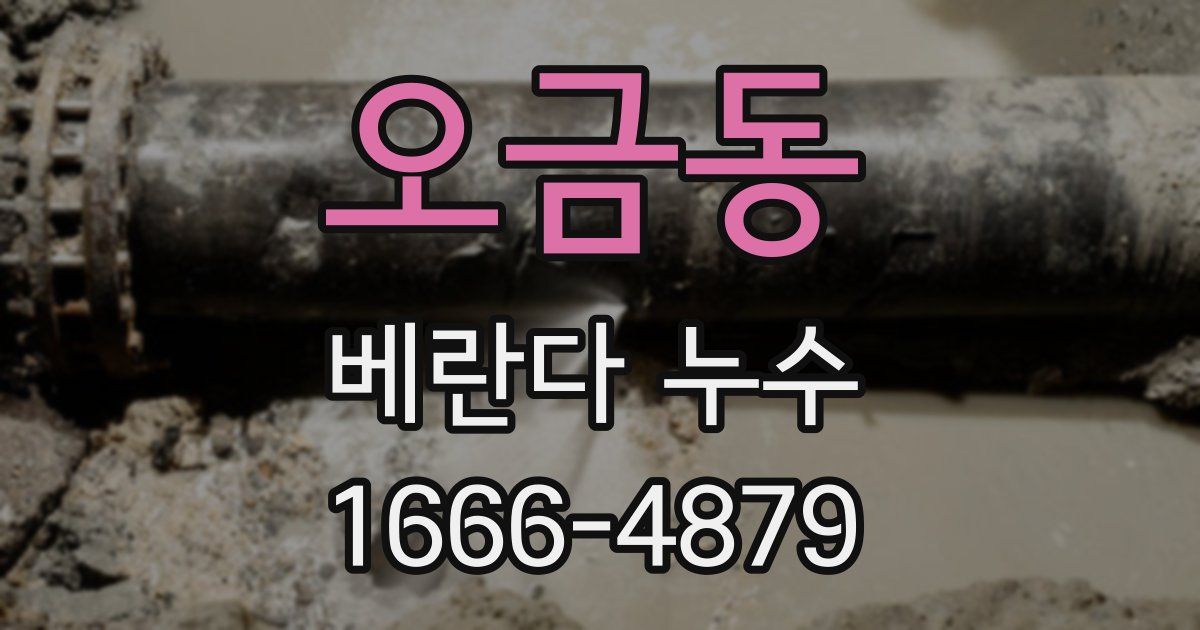 오금동 베란다 누수
