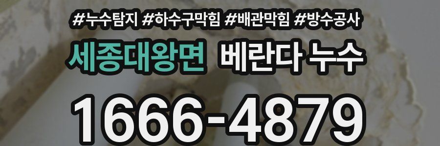 세종대왕면 베란다 누수