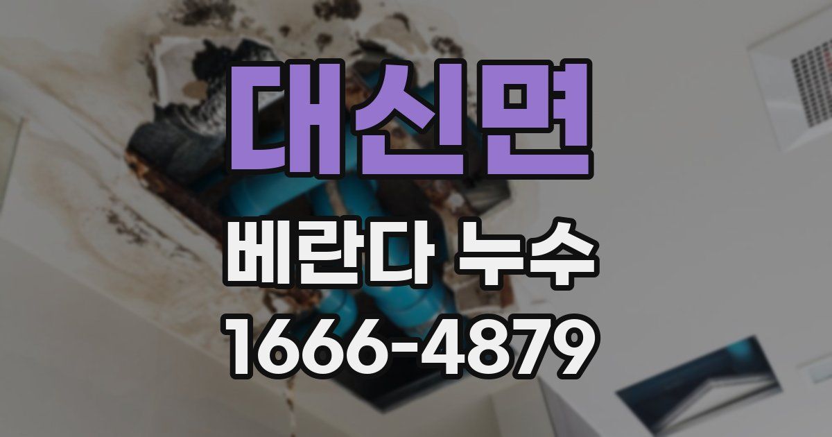 대신면 베란다 누수