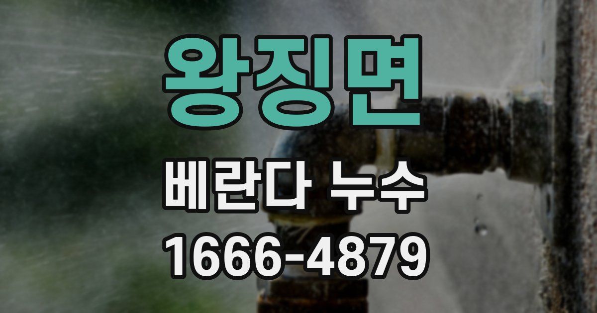 왕징면 베란다 누수