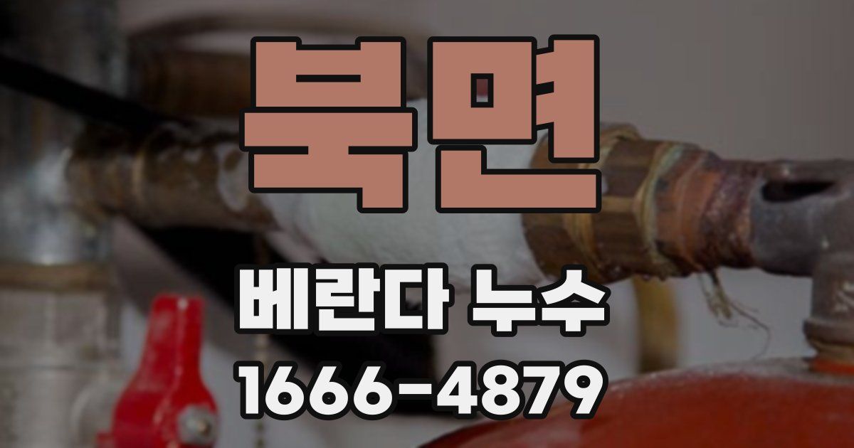 북면 베란다 누수