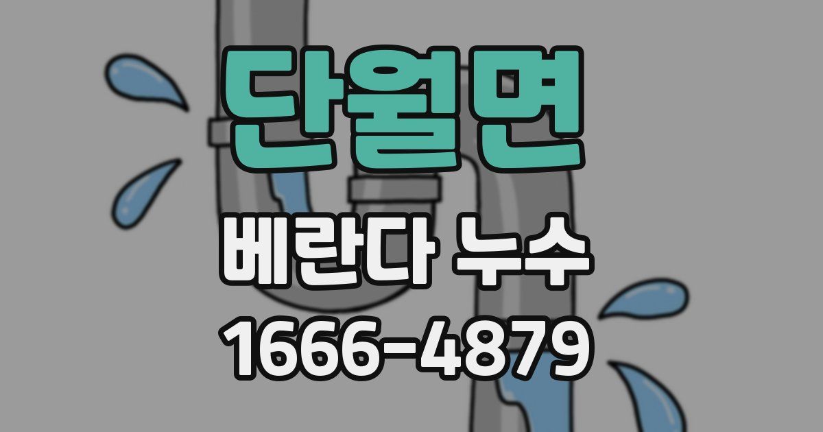 단월면 베란다 누수