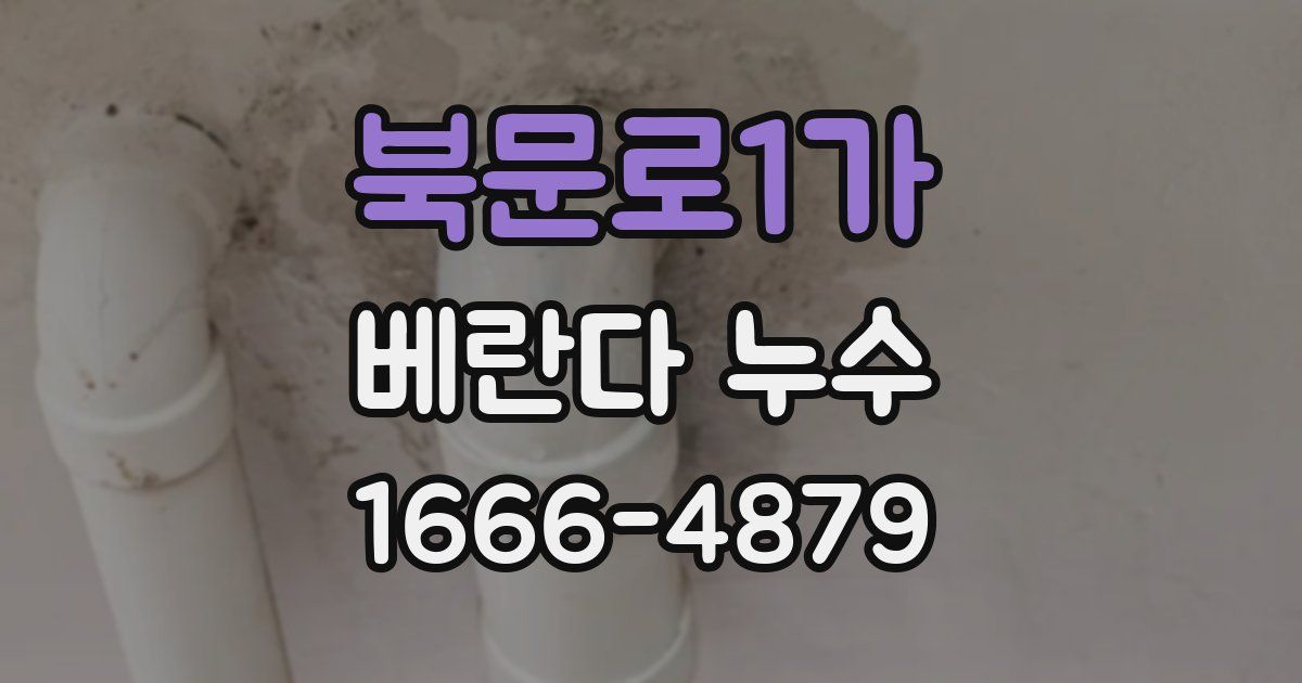 북문로1가 베란다 누수