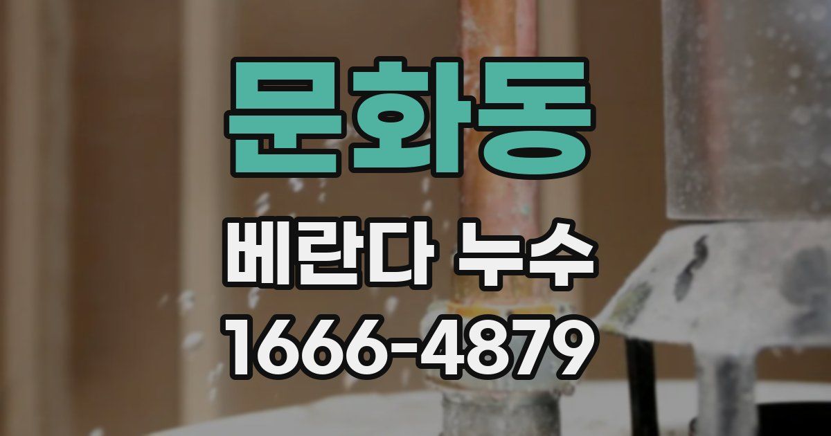 문화동 베란다 누수