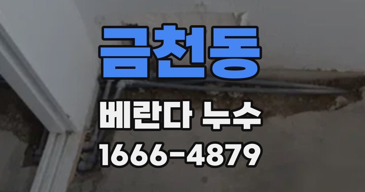 금천동 베란다 누수