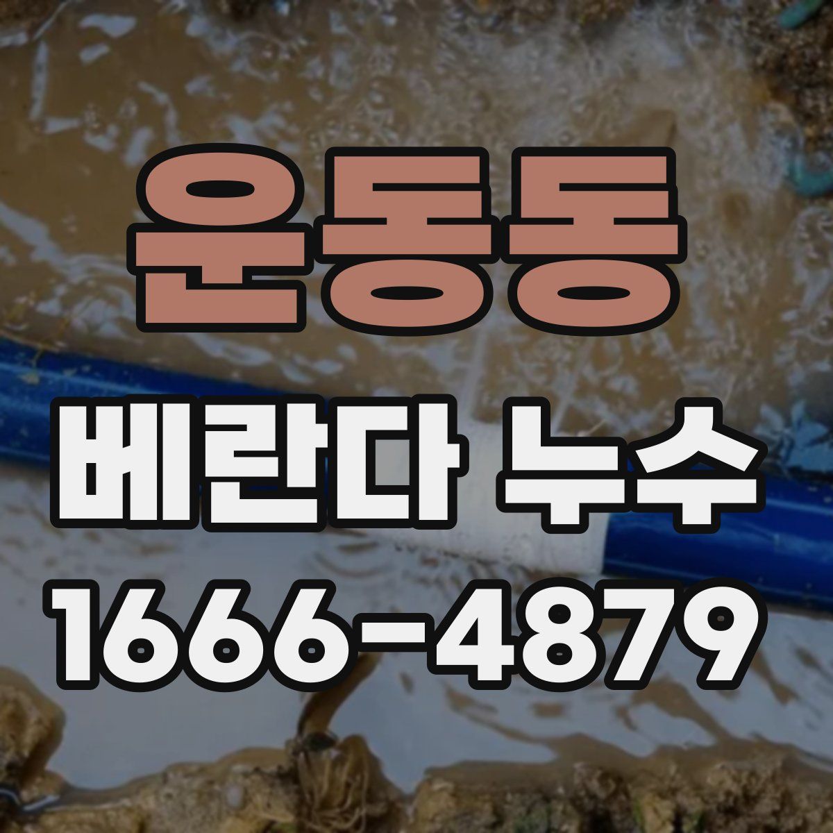 운동동 베란다 누수