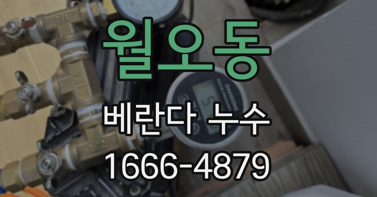 월오동 베란다 누수