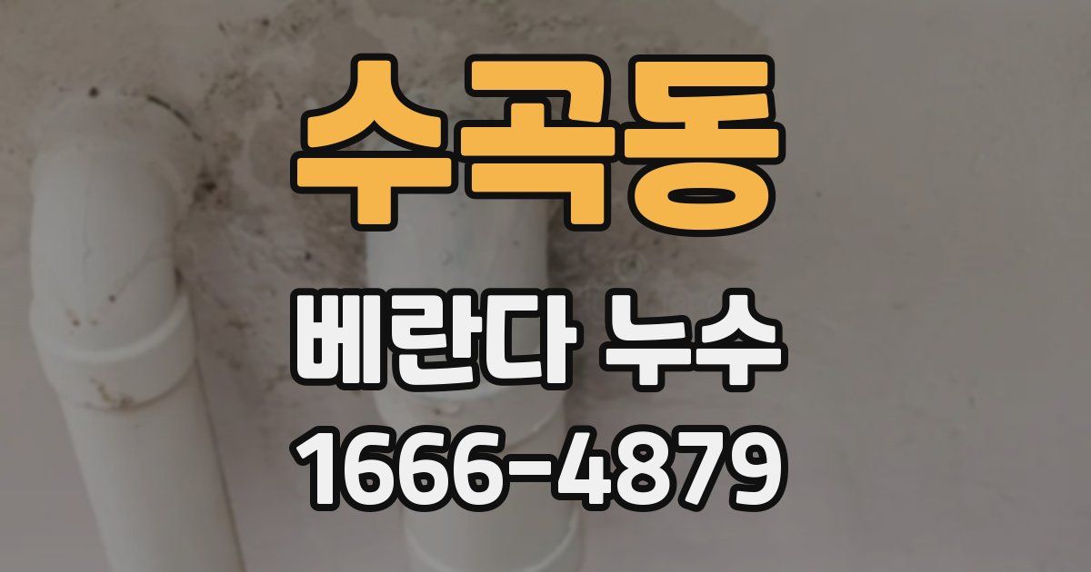 수곡동 베란다 누수