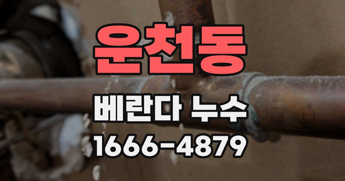 운천동 베란다 누수