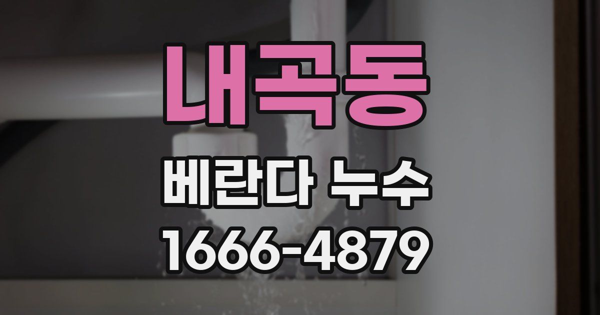 내곡동 베란다 누수